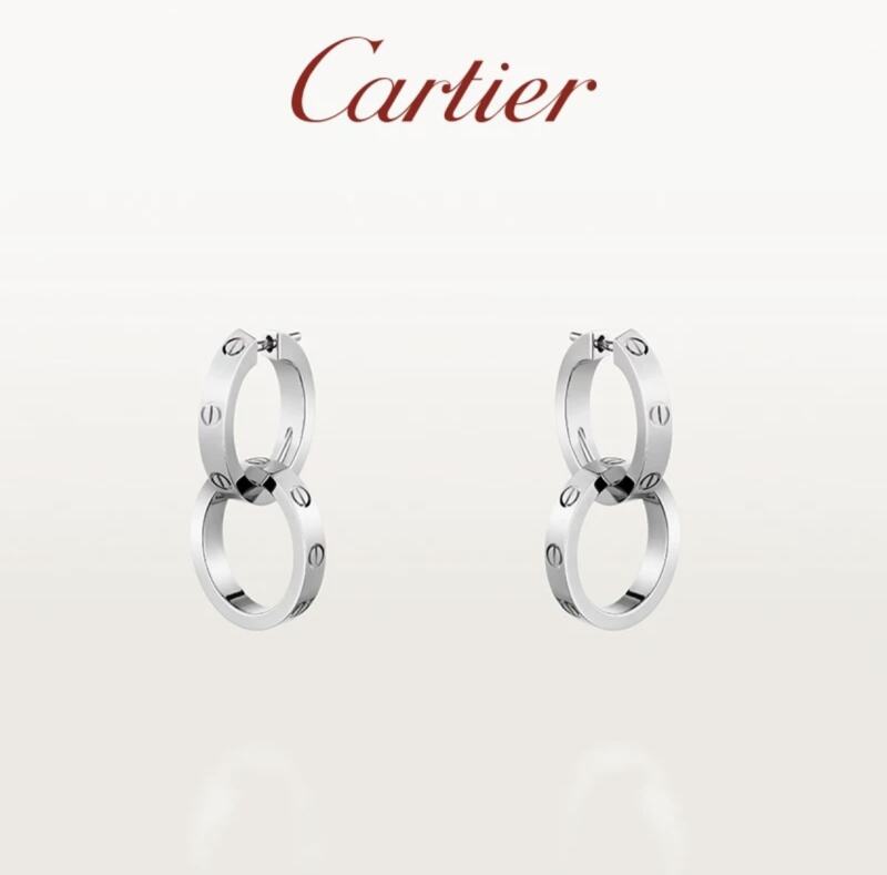 A1171  Women's titanium steel earrings and jewelry